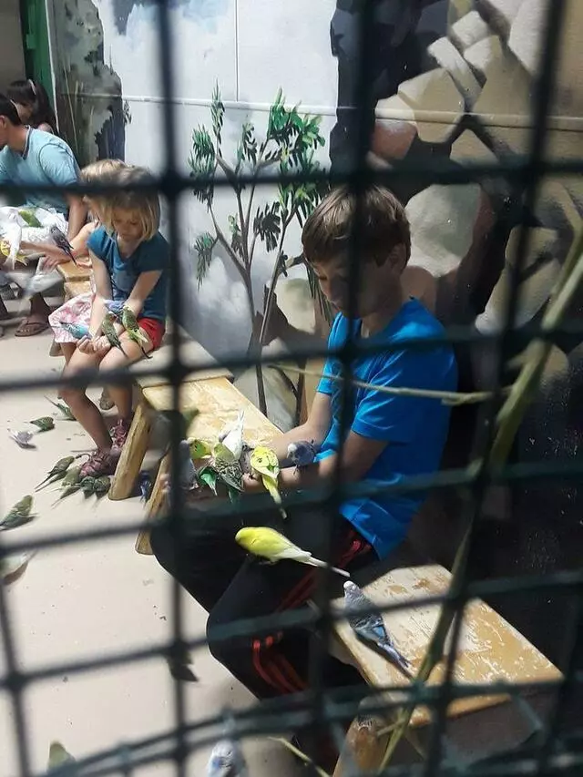 Austin Aquarium