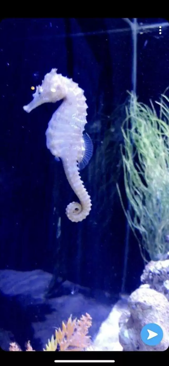 Austin Aquarium