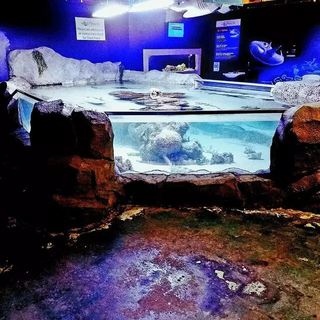 Austin Aquarium