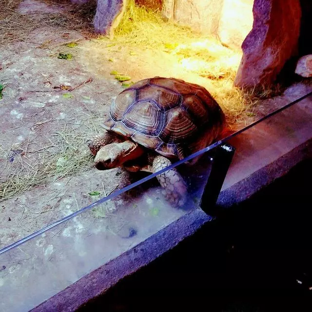 Austin Aquarium