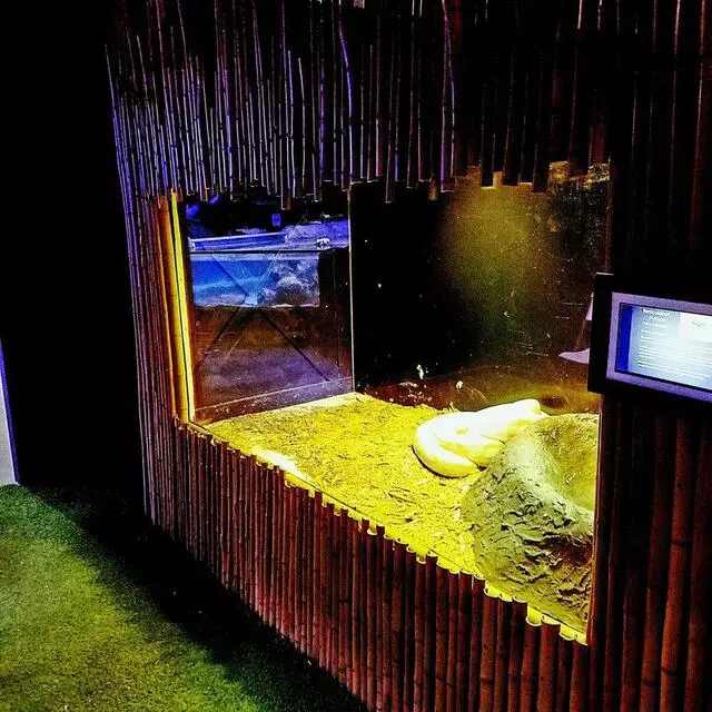 Austin Aquarium