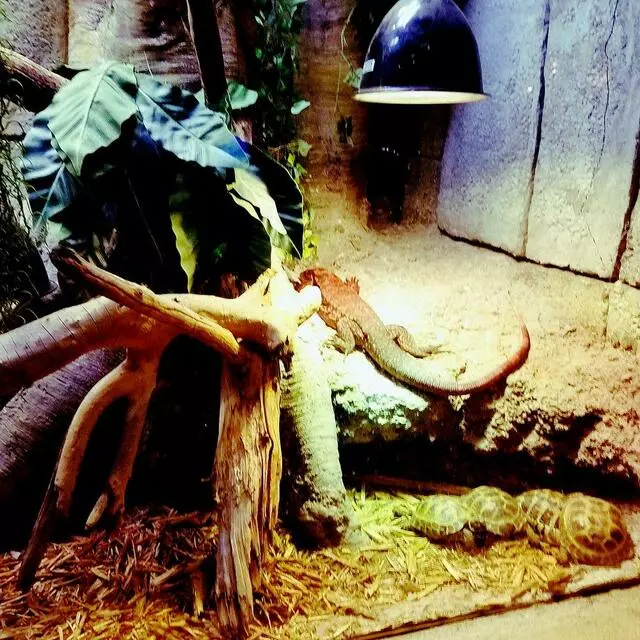 Austin Aquarium