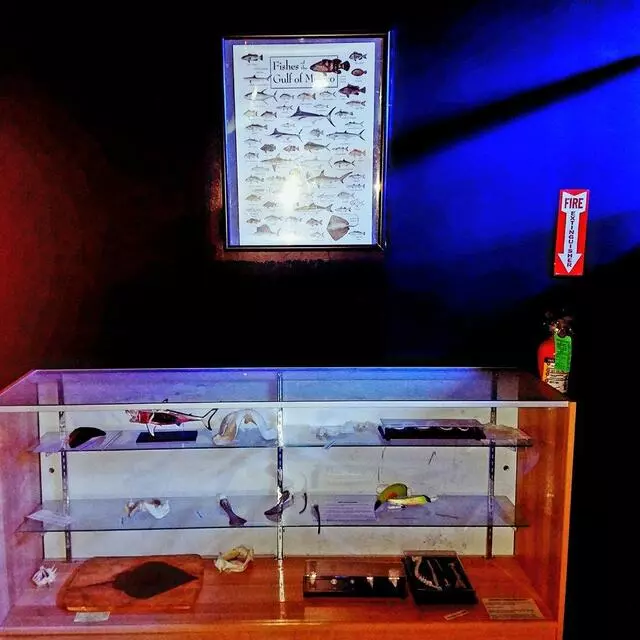 Austin Aquarium