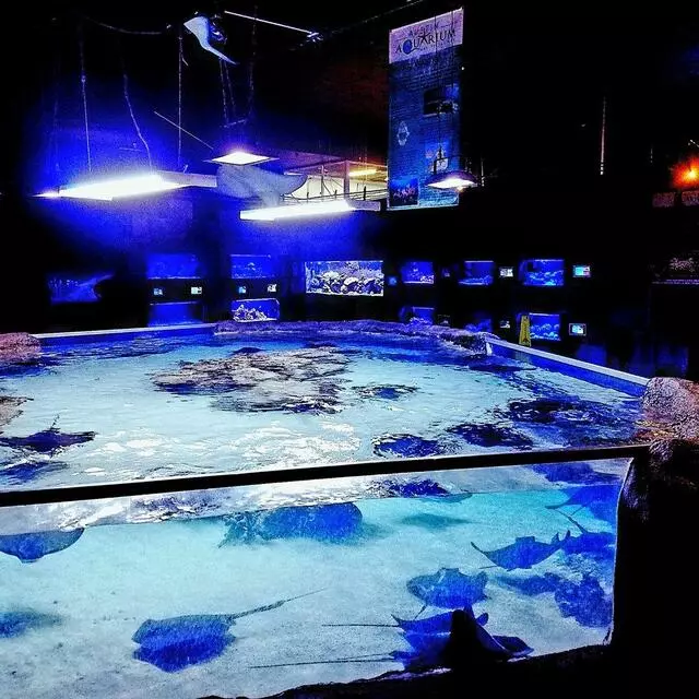 Austin Aquarium