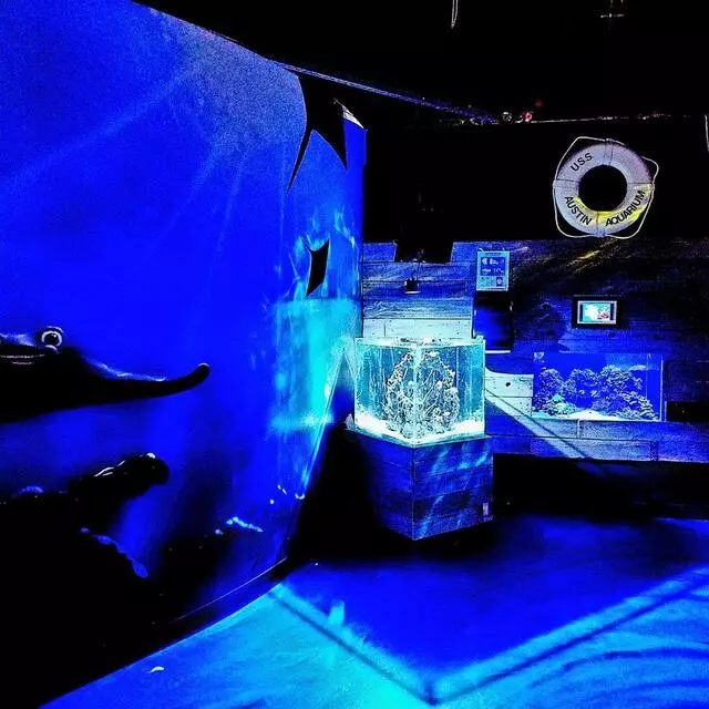 Austin Aquarium