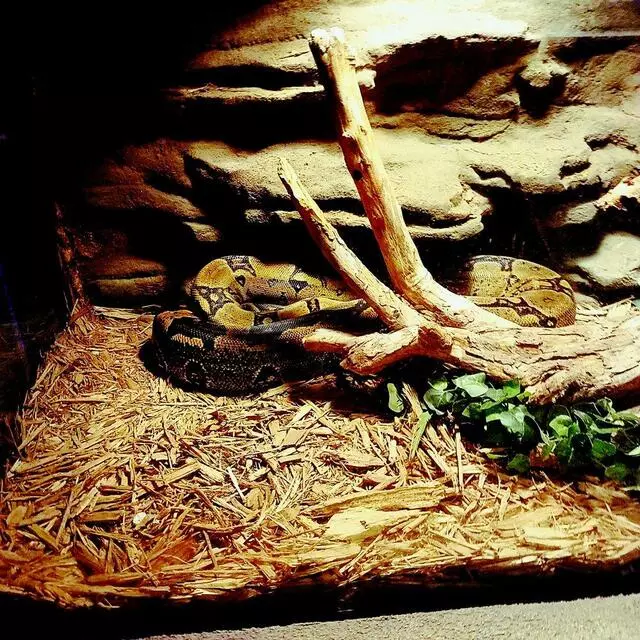 Austin Aquarium