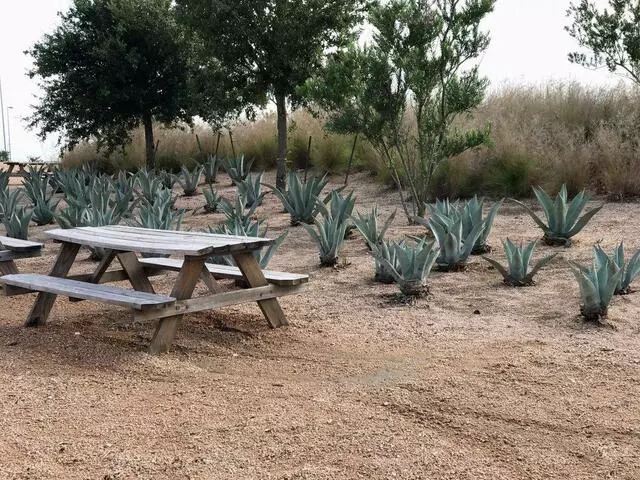 Austin360 Amphitheater
