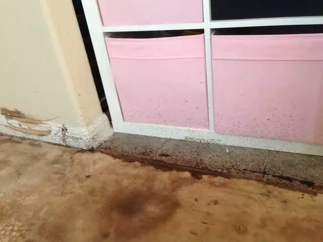 Austin 360 Renovations