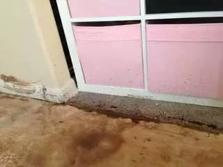 Austin 360 Renovations