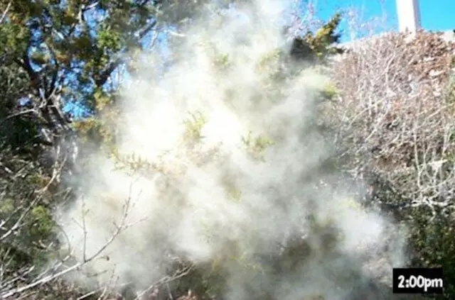 Allergy and Asthma Center of Austin