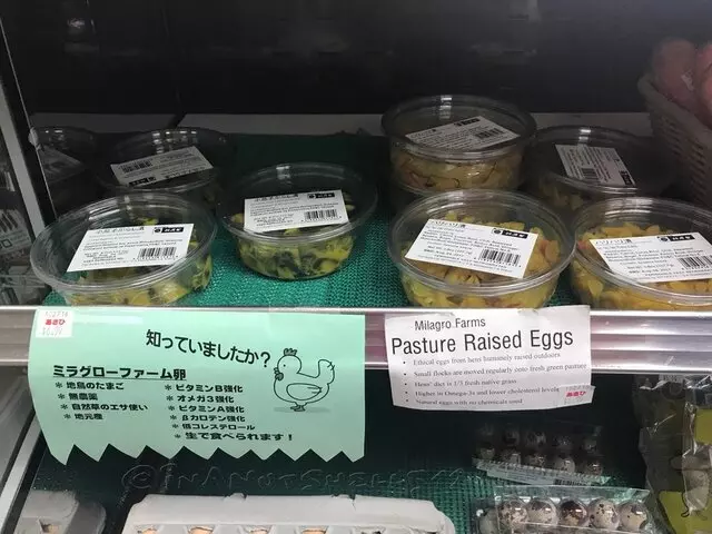 Asahi Imports
