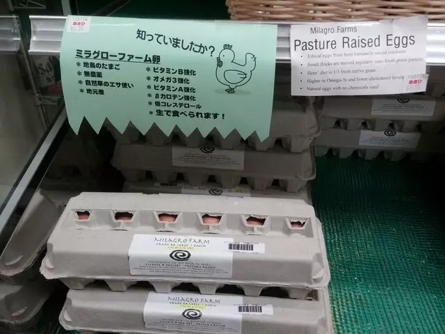 Asahi Imports