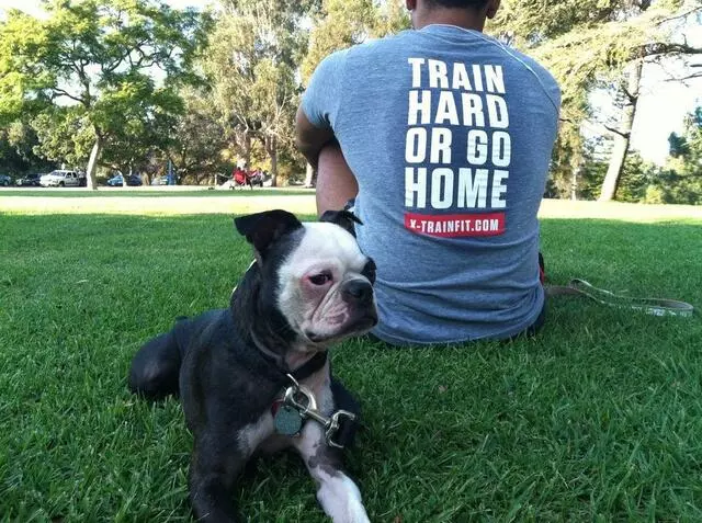 X-Train: A Fitness Community