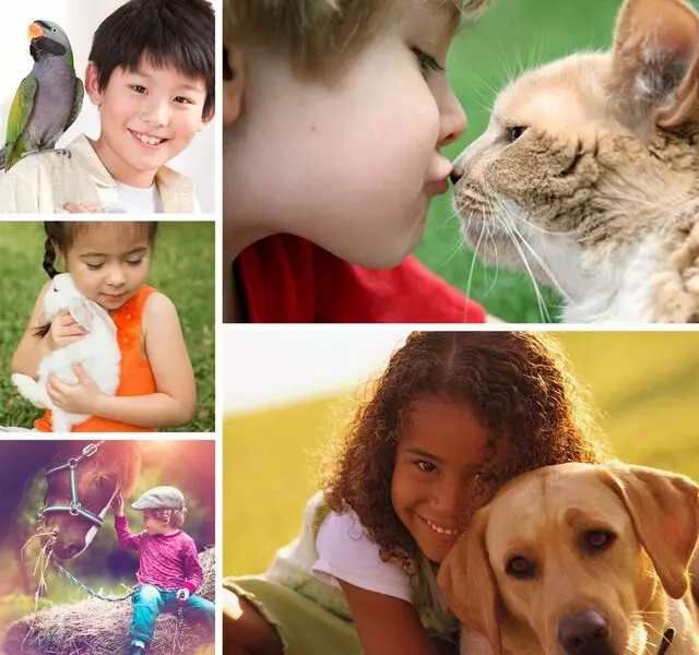 Eye Care for Animals Austin