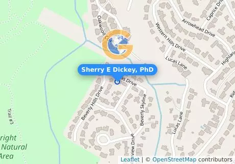 Sherry E Dickey, PhD