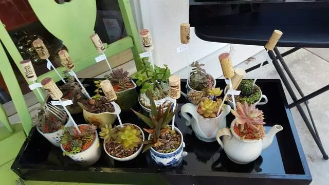 Austin Creative Reuse