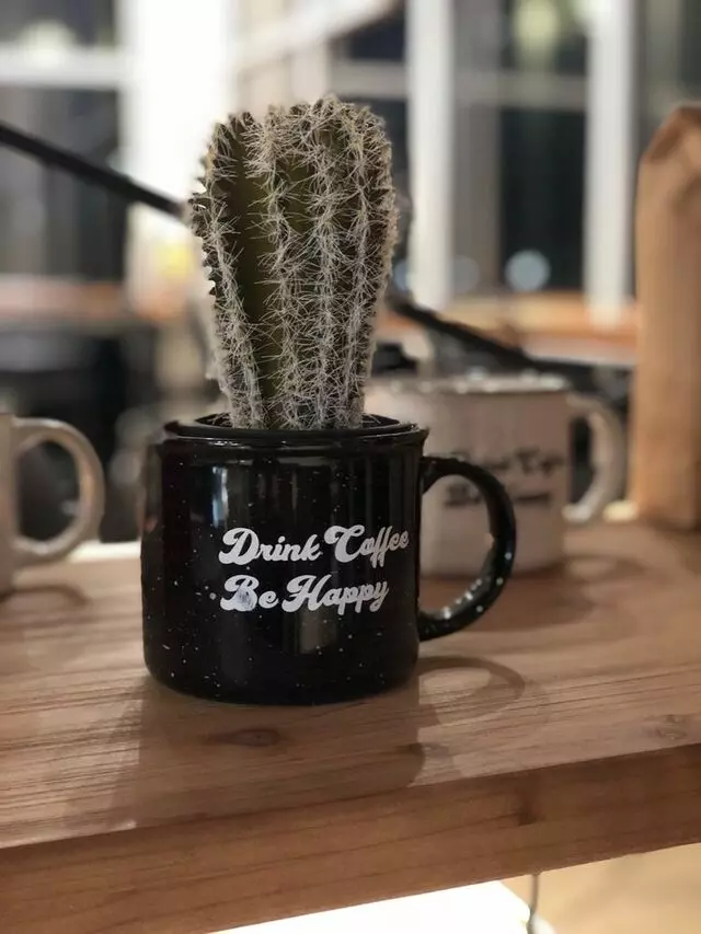 Austin Java