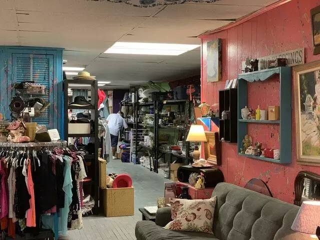 Austin Pets Alive! Thrift at Oltorf