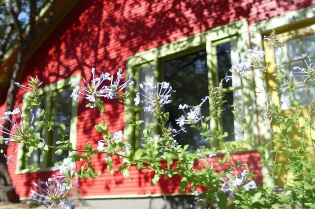 Austin Vacation Rentals