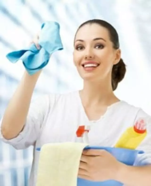 Austin Maid Service
