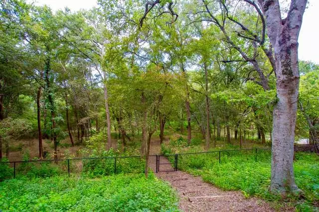 Austin Eco Retreat at Onion Creek