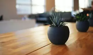 Sol Associates