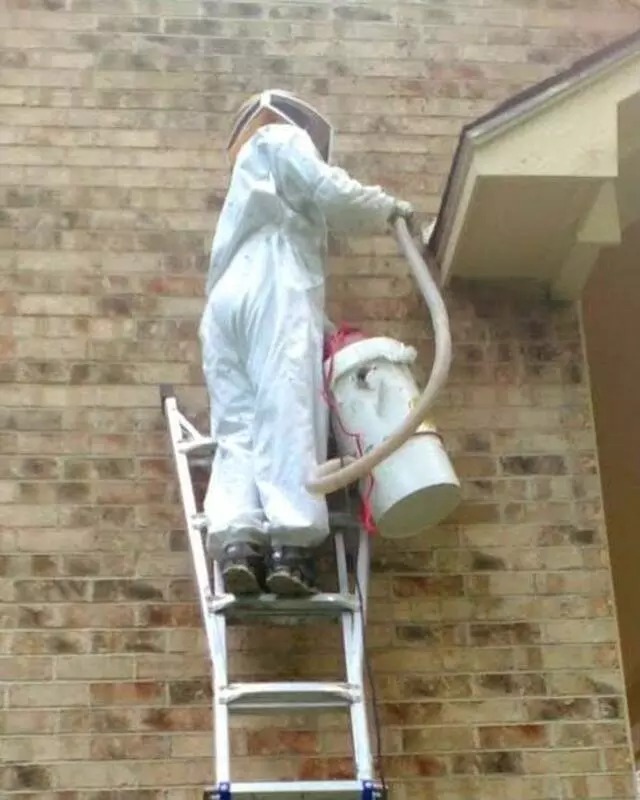 Adkins Bee Removal