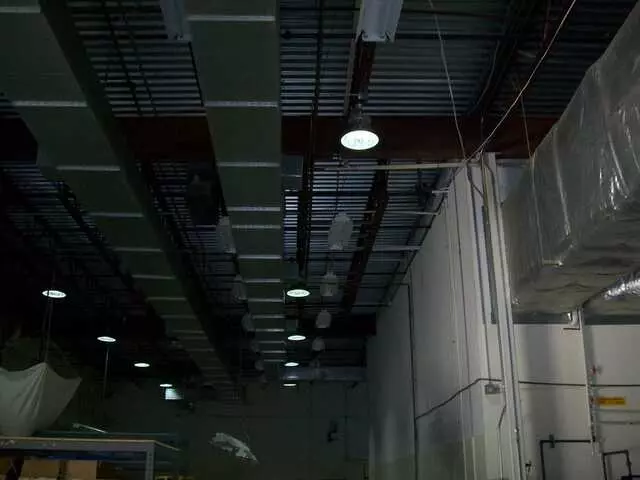Armadillo Electrical Services