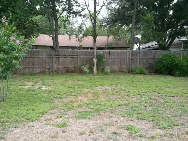 Austin Landscape and Trees