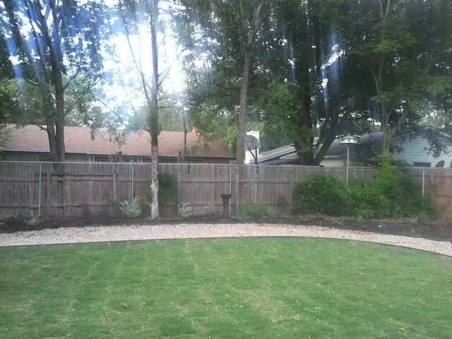 Austin Landscape and Trees