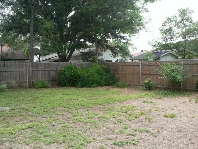 Austin Landscape and Trees
