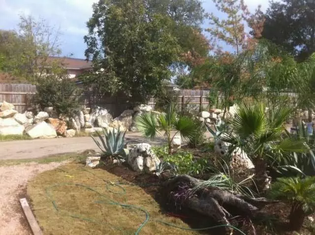 Austin Landscape and Trees