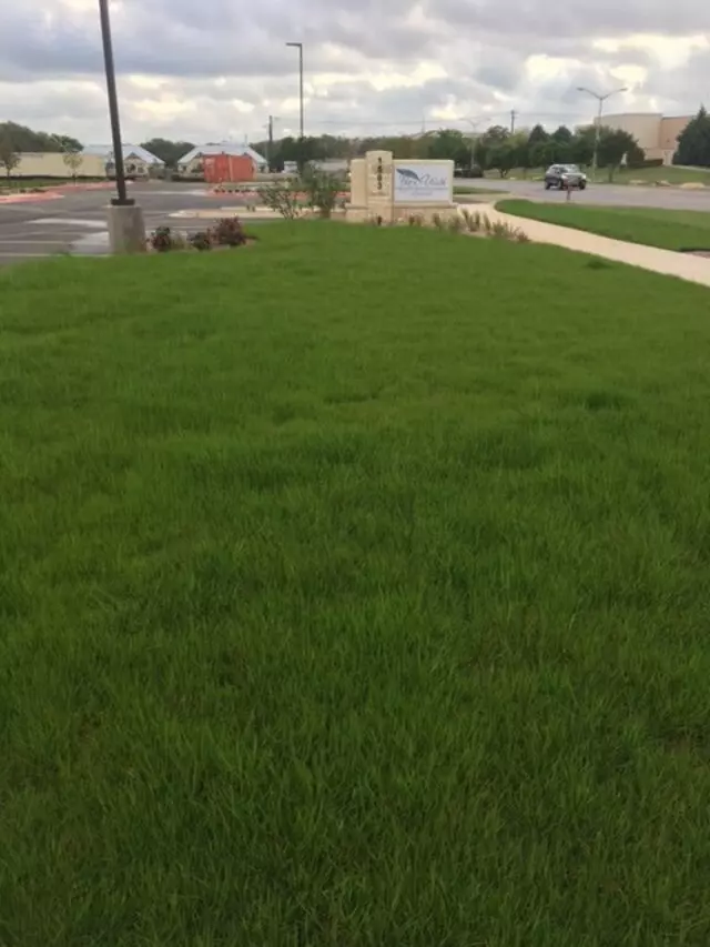 4 Seasons Landscape