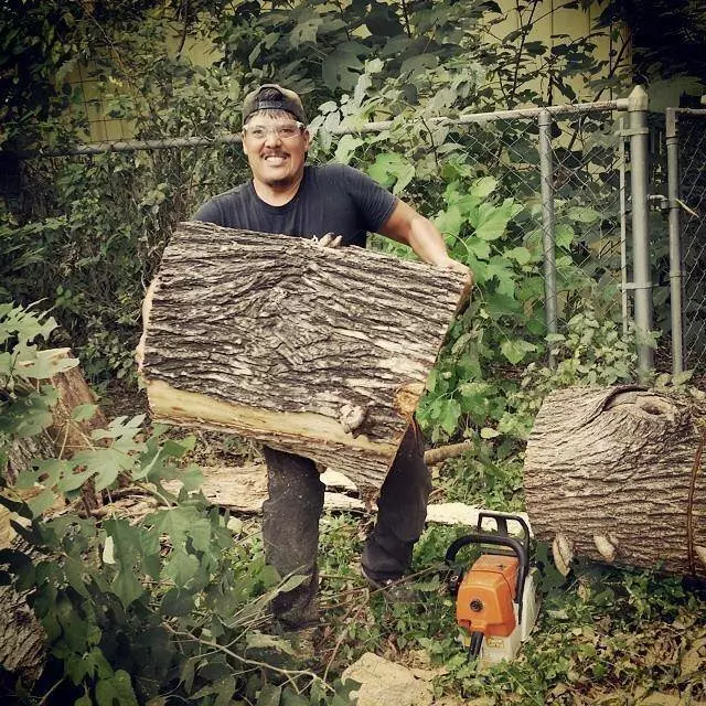 Alex’s Tree Services