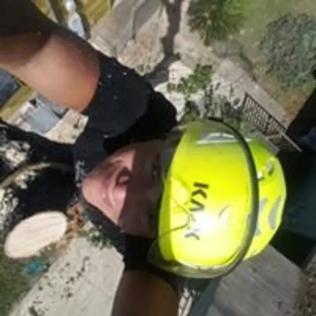 Alex’s Tree Services