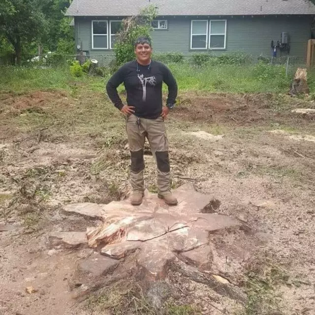 Alex’s Tree Services