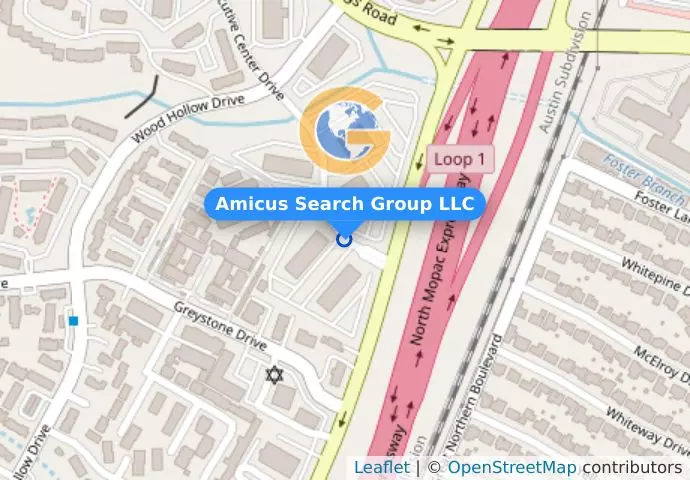 Amicus Search Group LLC