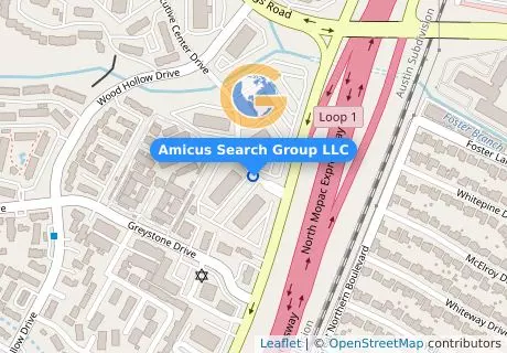 Amicus Search Group LLC