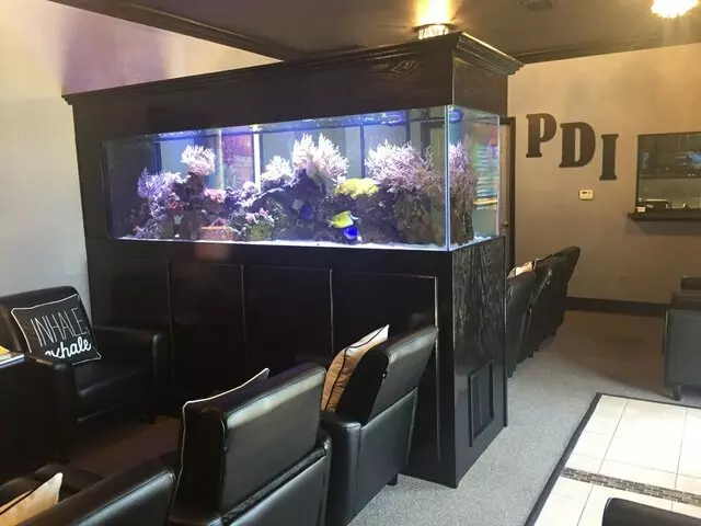 Psych Dimensions