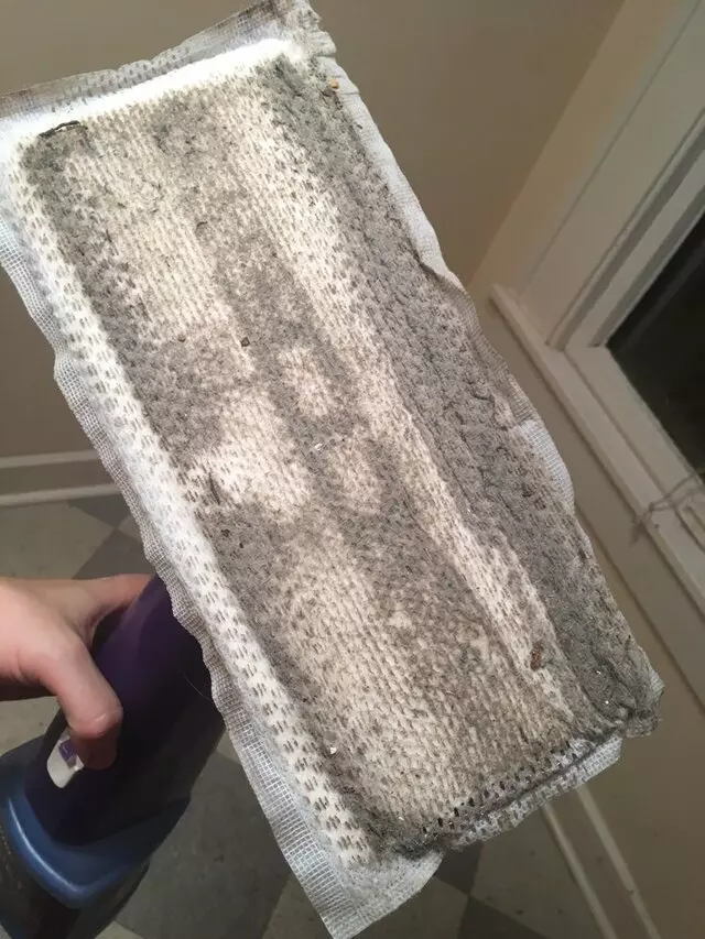 Austin’s Maid Service
