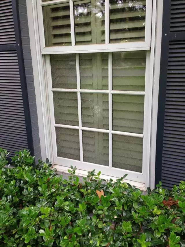 A & D Window Cleaning & Repair
