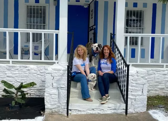 Dogs Around Austin
