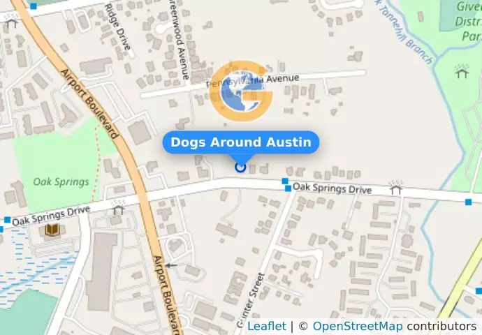 Dogs Around Austin