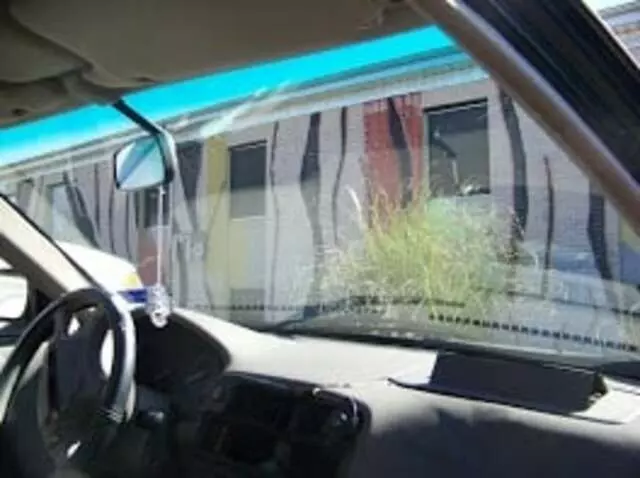 Armadillo Auto Glass