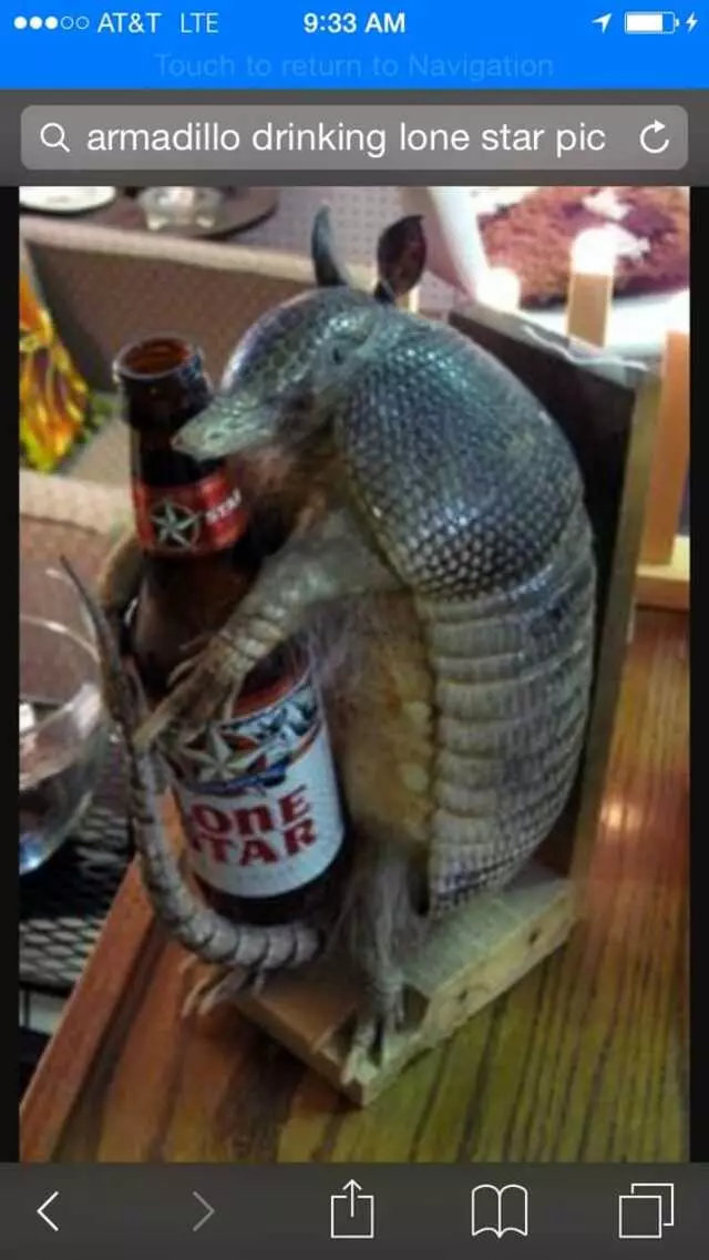 Armadillo Auto Glass