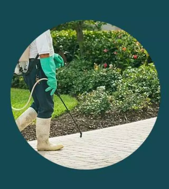 Alpine Pest Solutions
