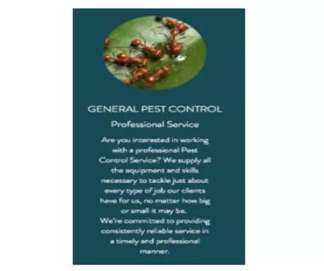 Alpine Pest Solutions