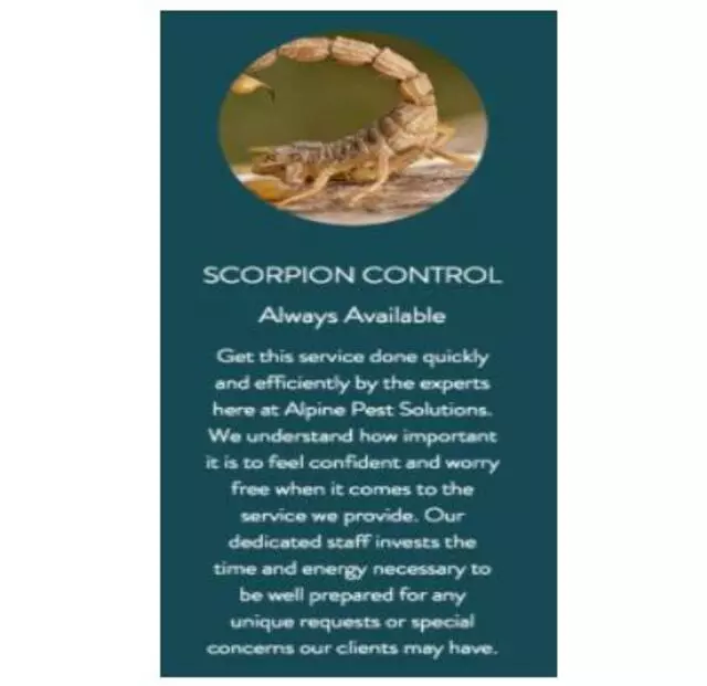 Alpine Pest Solutions
