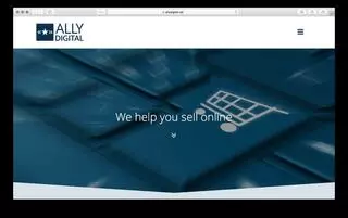 Ally Digital