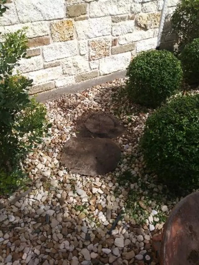 Adam’s Tree Services and Landscaping